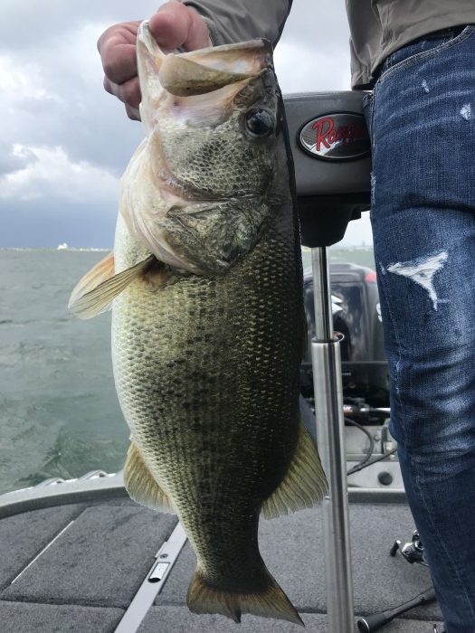 truth  ブログ写真 2020/05/20