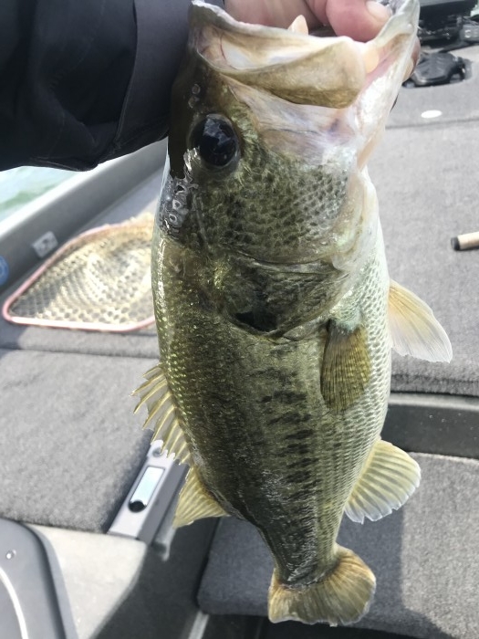 truth  ブログ写真 2020/05/20