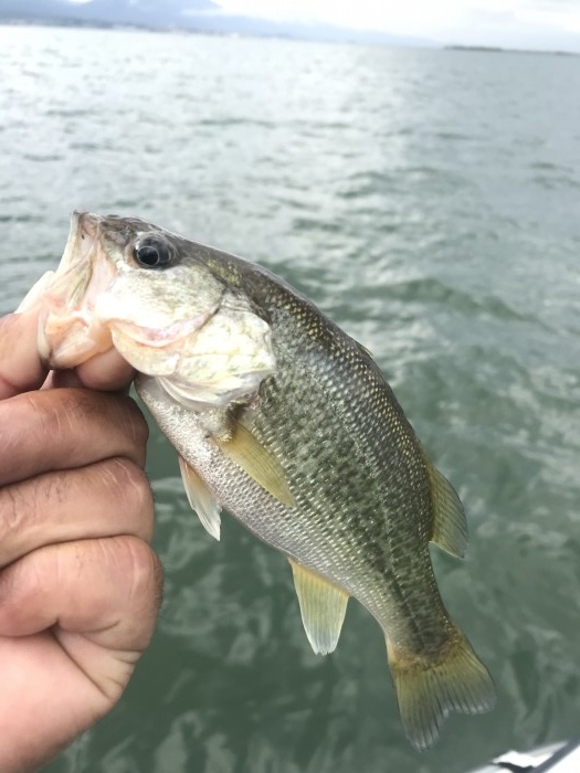 truth  ブログ写真 2020/05/20