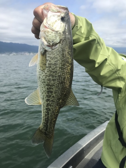 truth  ブログ写真 2020/06/01