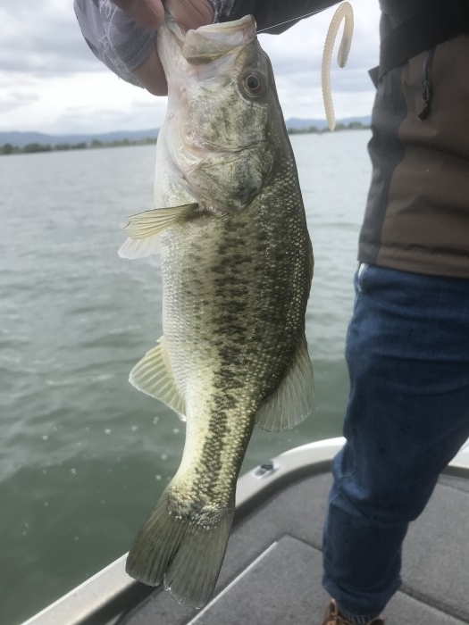 truth  ブログ写真 2020/06/01