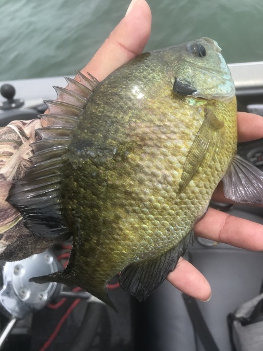 truth  ブログ写真 2020/06/01