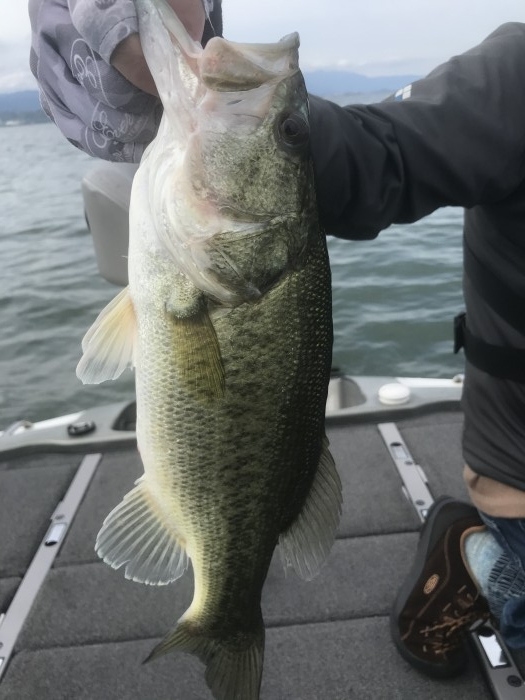 truth  ブログ写真 2020/06/01