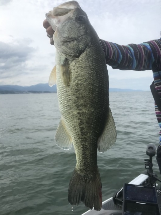 truth  ブログ写真 2020/06/01