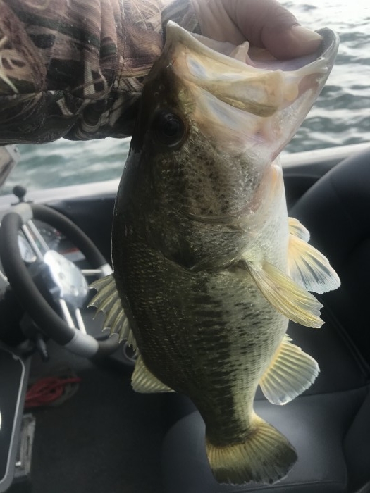 truth  ブログ写真 2020/06/02