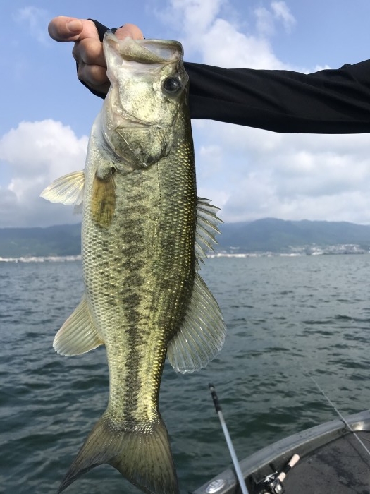 truth  ブログ写真 2020/06/02