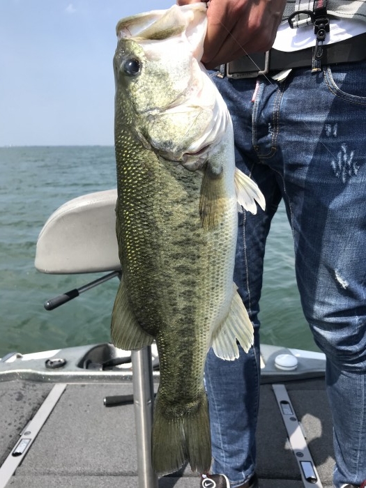 truth  ブログ写真 2020/06/02