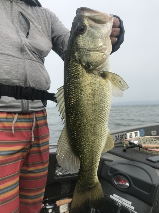 truth  ブログ写真 2020/06/05