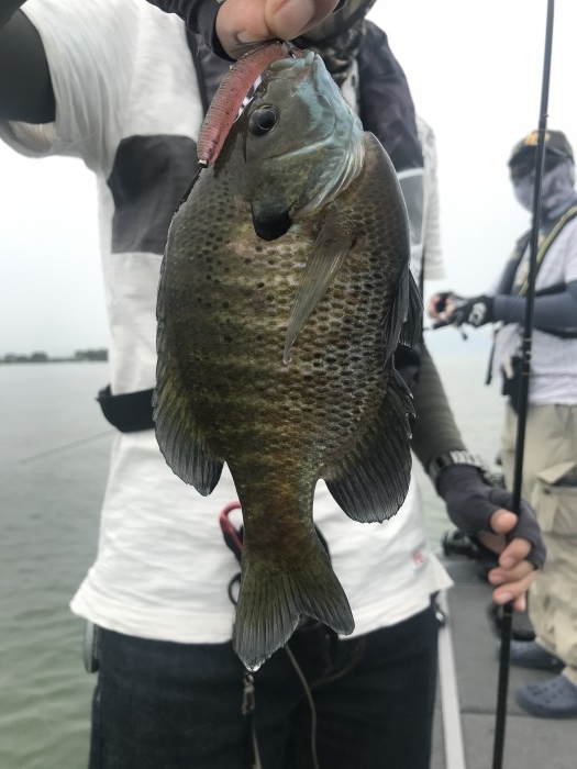 truth  ブログ写真 2020/06/06