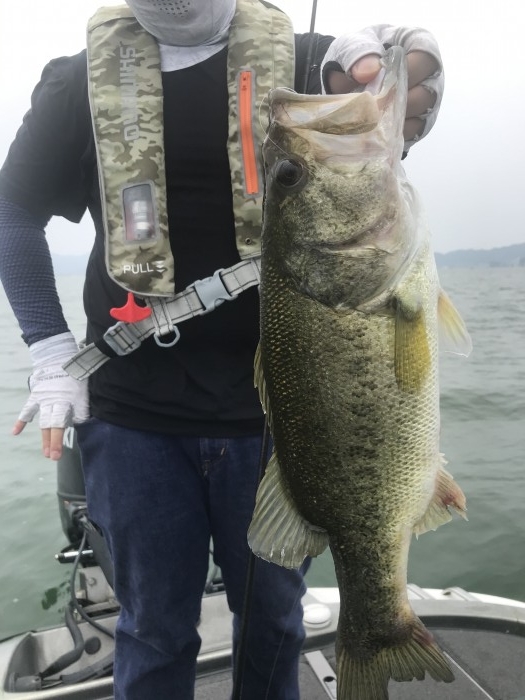 truth  ブログ写真 2020/06/06