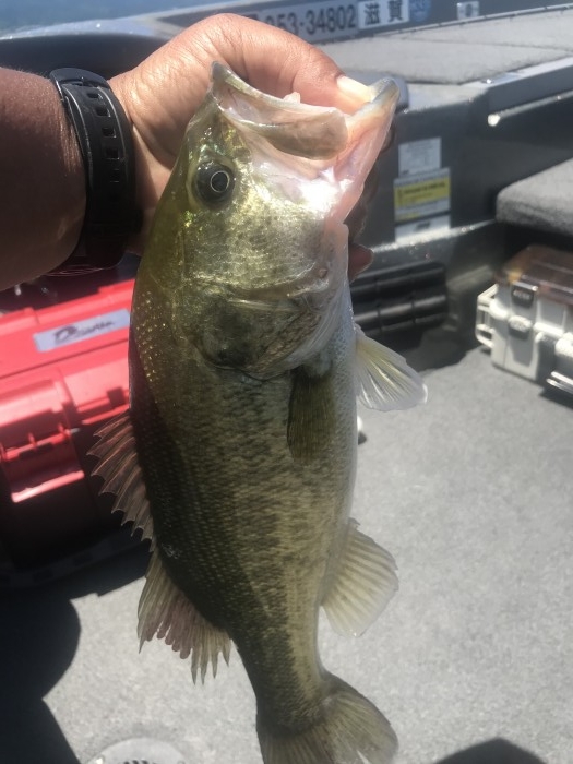 truth  ブログ写真 2020/06/08