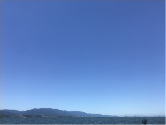 truth  ブログ写真 2020/06/08