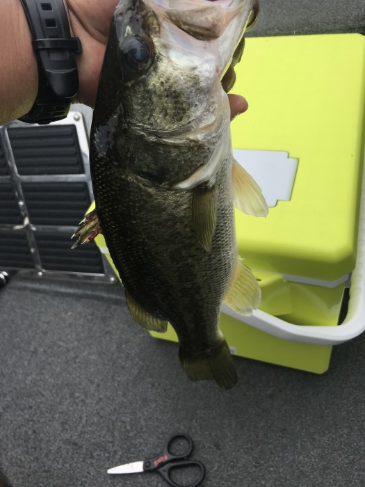 truth  ブログ写真 2020/06/10