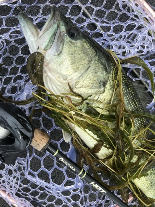 truth  ブログ写真 2020/06/10