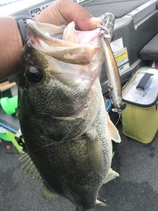 truth  ブログ写真 2020/06/12