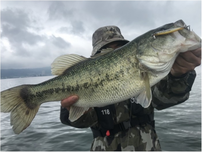 truth  ブログ写真 2020/06/12