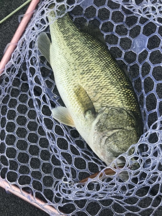 truth  ブログ写真 2020/06/12