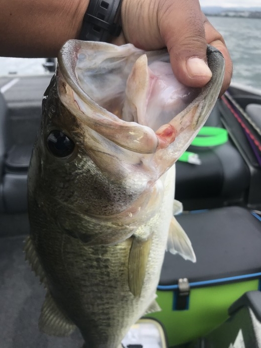 truth  ブログ写真 2020/06/12