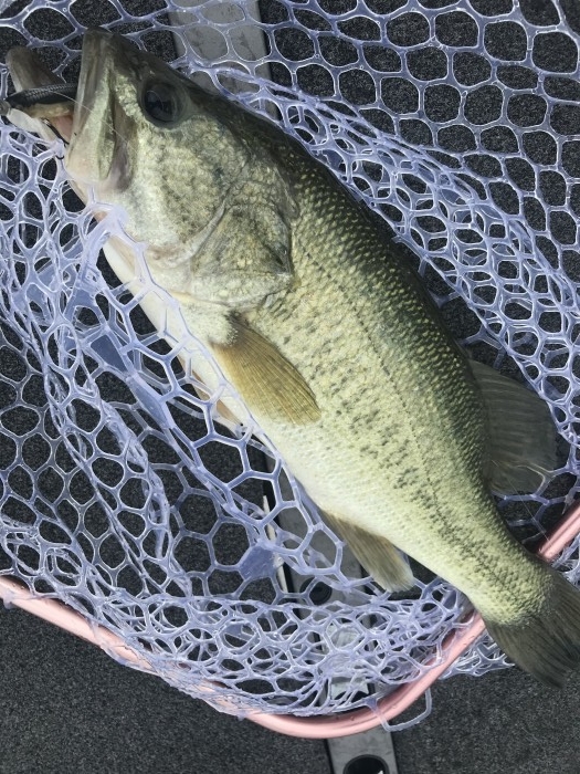 truth  ブログ写真 2020/06/12