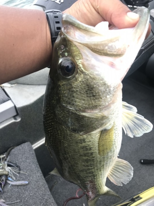 truth  ブログ写真 2020/06/12