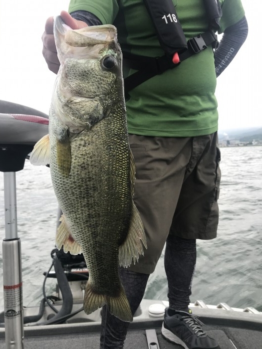 truth  ブログ写真 2020/06/12