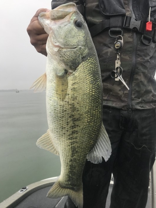 truth  ブログ写真 2020/06/13