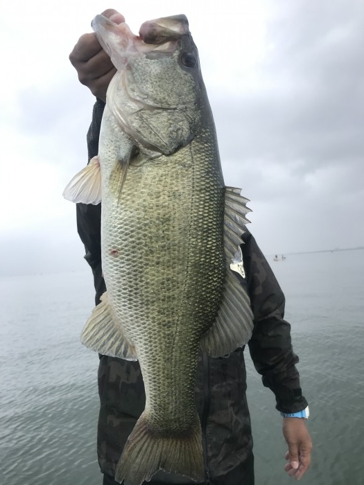 truth  ブログ写真 2020/06/13