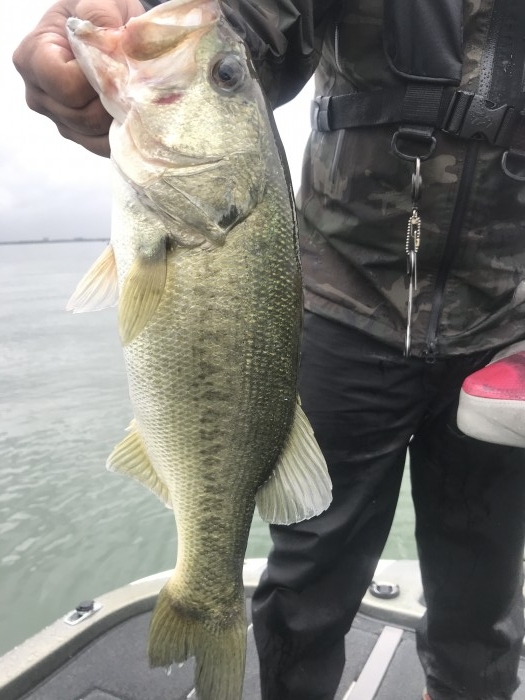 truth  ブログ写真 2020/06/13