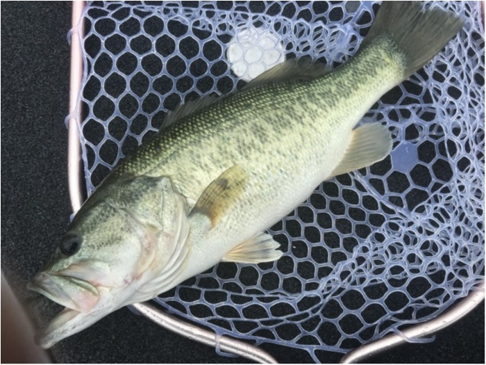 truth  ブログ写真 2020/06/13