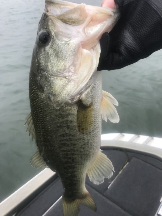 truth  ブログ写真 2020/06/13