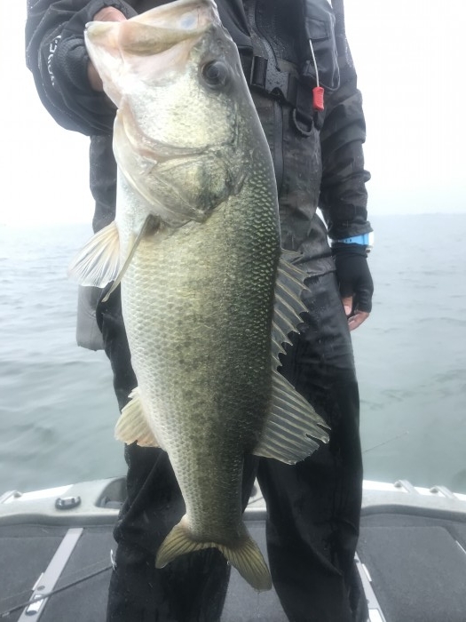 truth  ブログ写真 2020/06/13