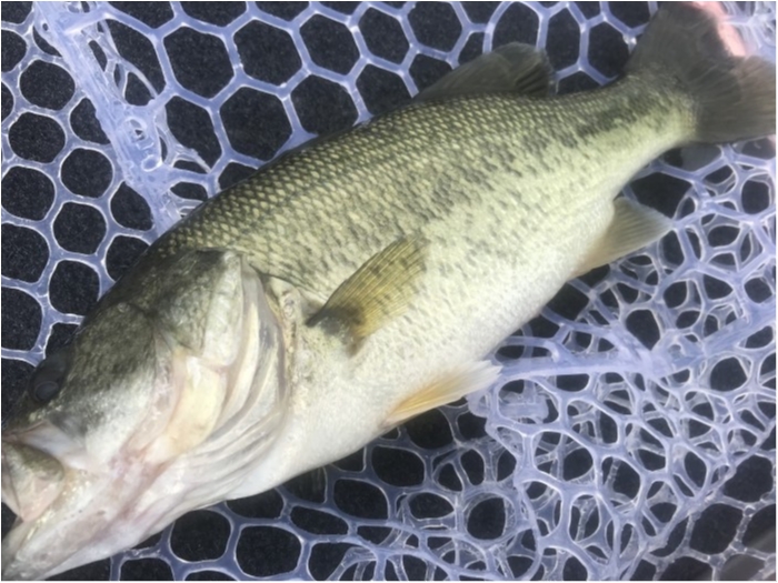 truth  ブログ写真 2020/06/13