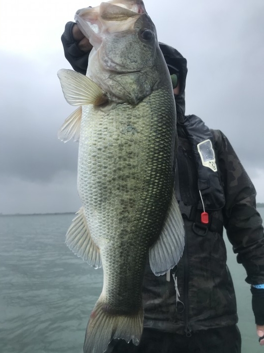 truth  ブログ写真 2020/06/13