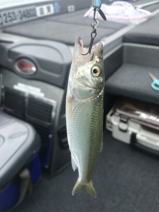 truth  ブログ写真 2020/06/14