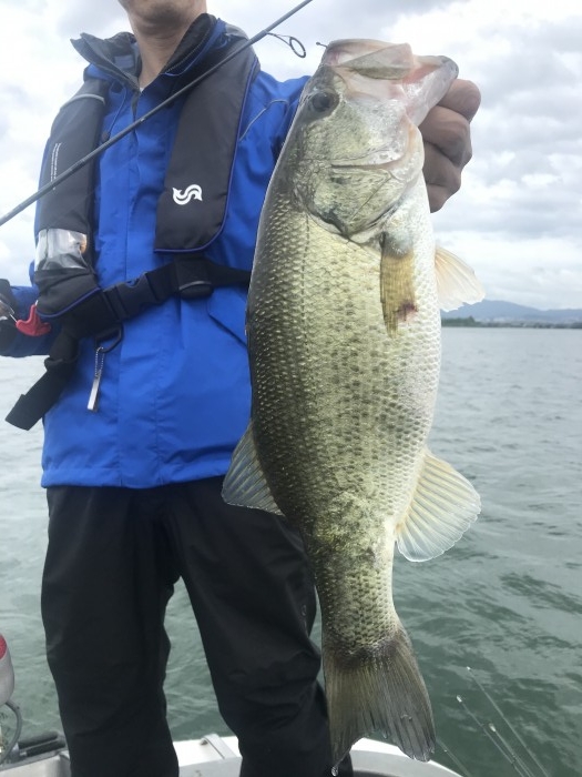 truth  ブログ写真 2020/06/14