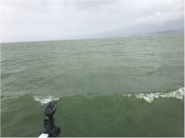 truth  ブログ写真 2020/06/14