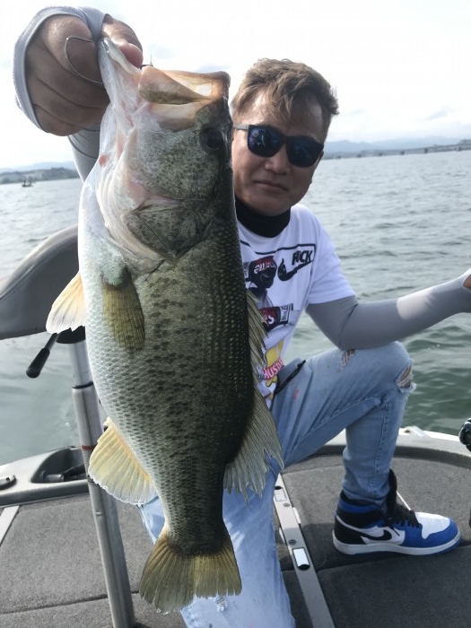 truth  ブログ写真 2020/06/15