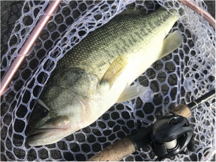 truth  ブログ写真 2020/06/15