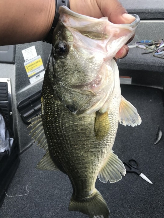 truth  ブログ写真 2020/06/15