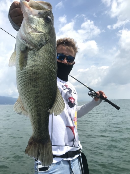 truth  ブログ写真 2020/06/15