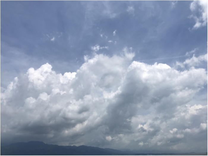 truth  ブログ写真 2020/06/15