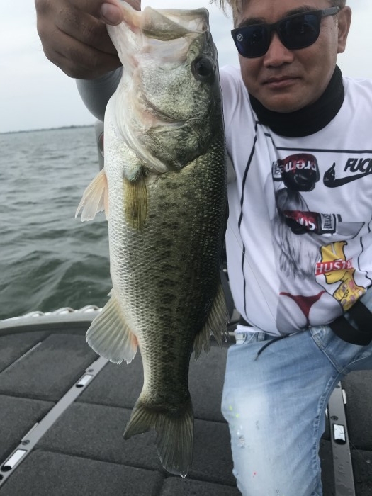 truth  ブログ写真 2020/06/15