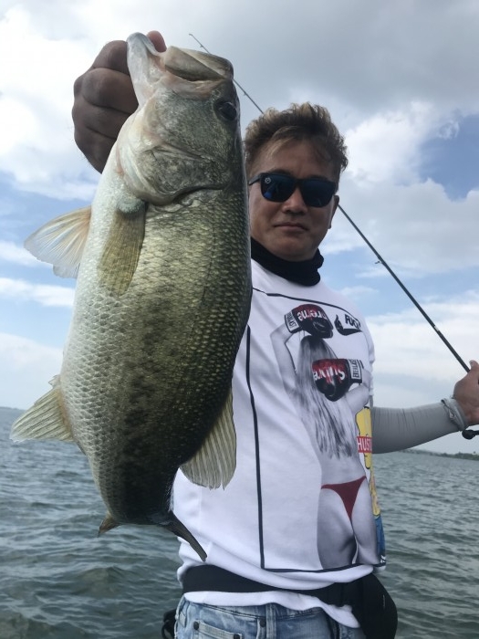 truth  ブログ写真 2020/06/15