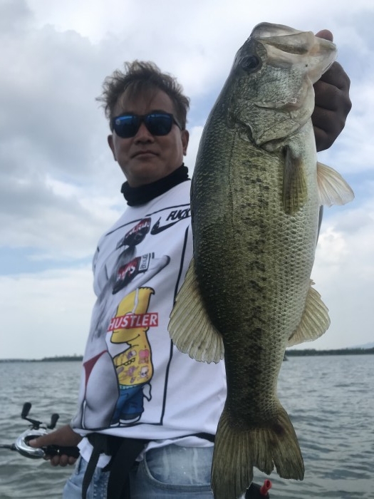 truth  ブログ写真 2020/06/15