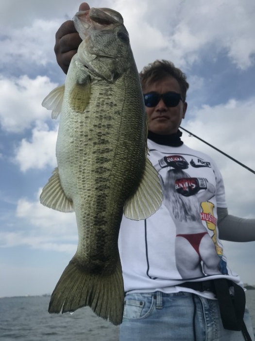 truth  ブログ写真 2020/06/15