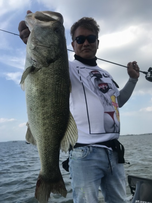 truth  ブログ写真 2020/06/15