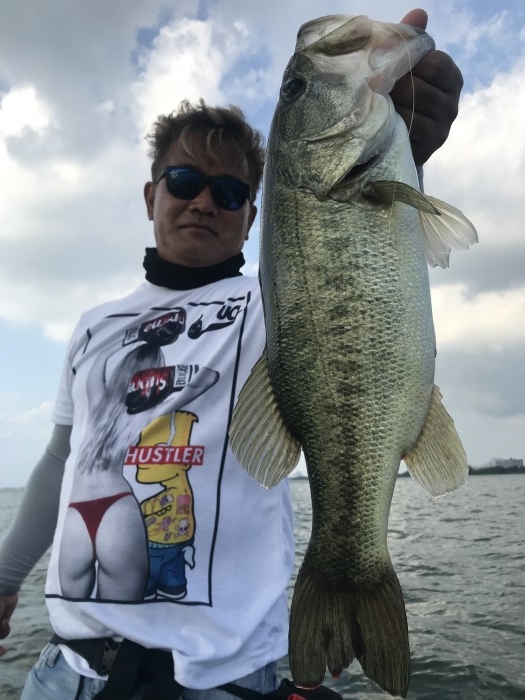 truth  ブログ写真 2020/06/15