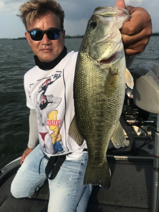 truth  ブログ写真 2020/06/15