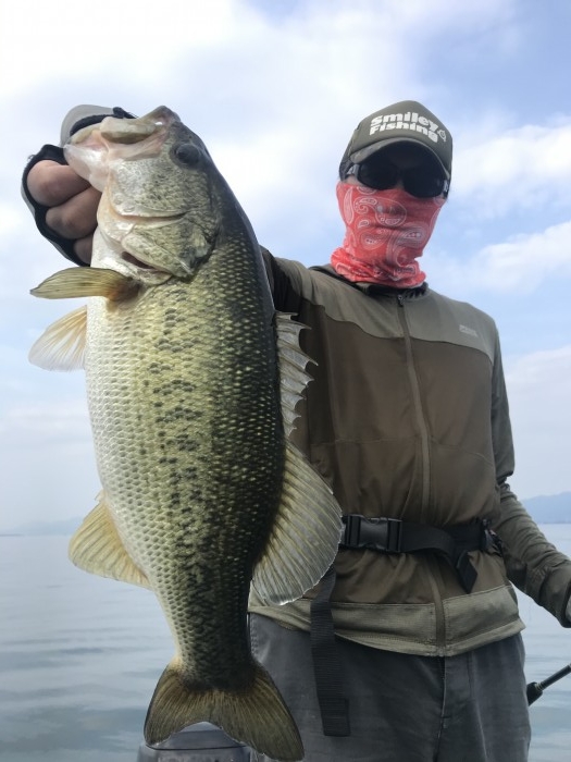 truth ブログ写真 2020/07/20