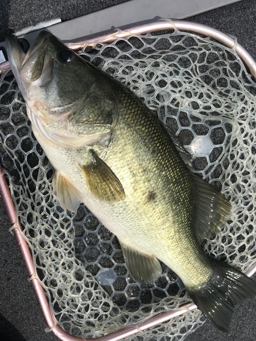 truth ブログ写真 2020/07/20